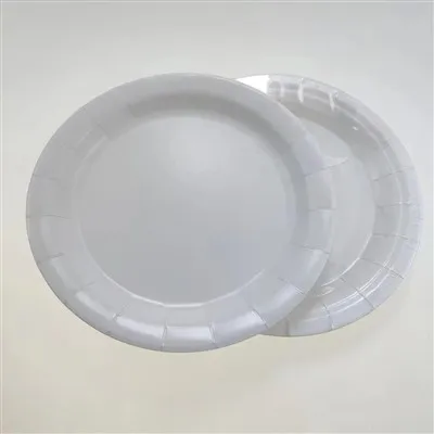 Placa descartável de 10 polegadas